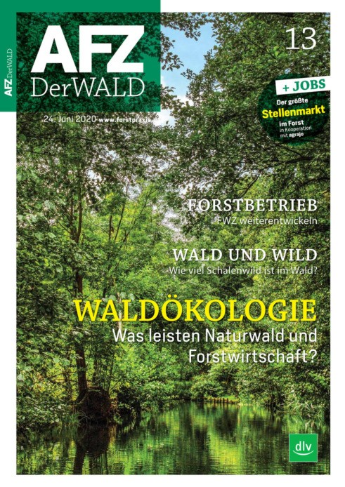 Afz - Der Wald